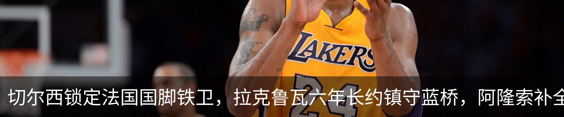 新闻动态