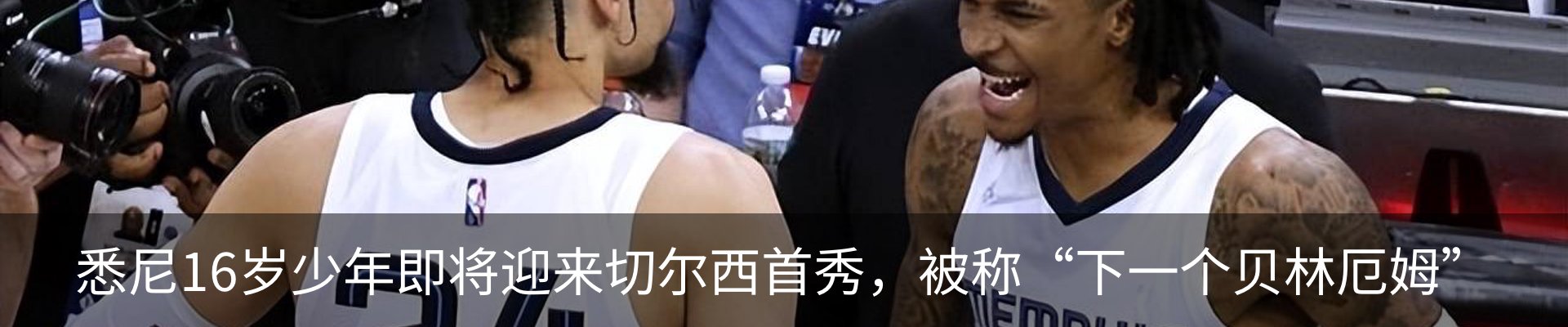 新闻动态